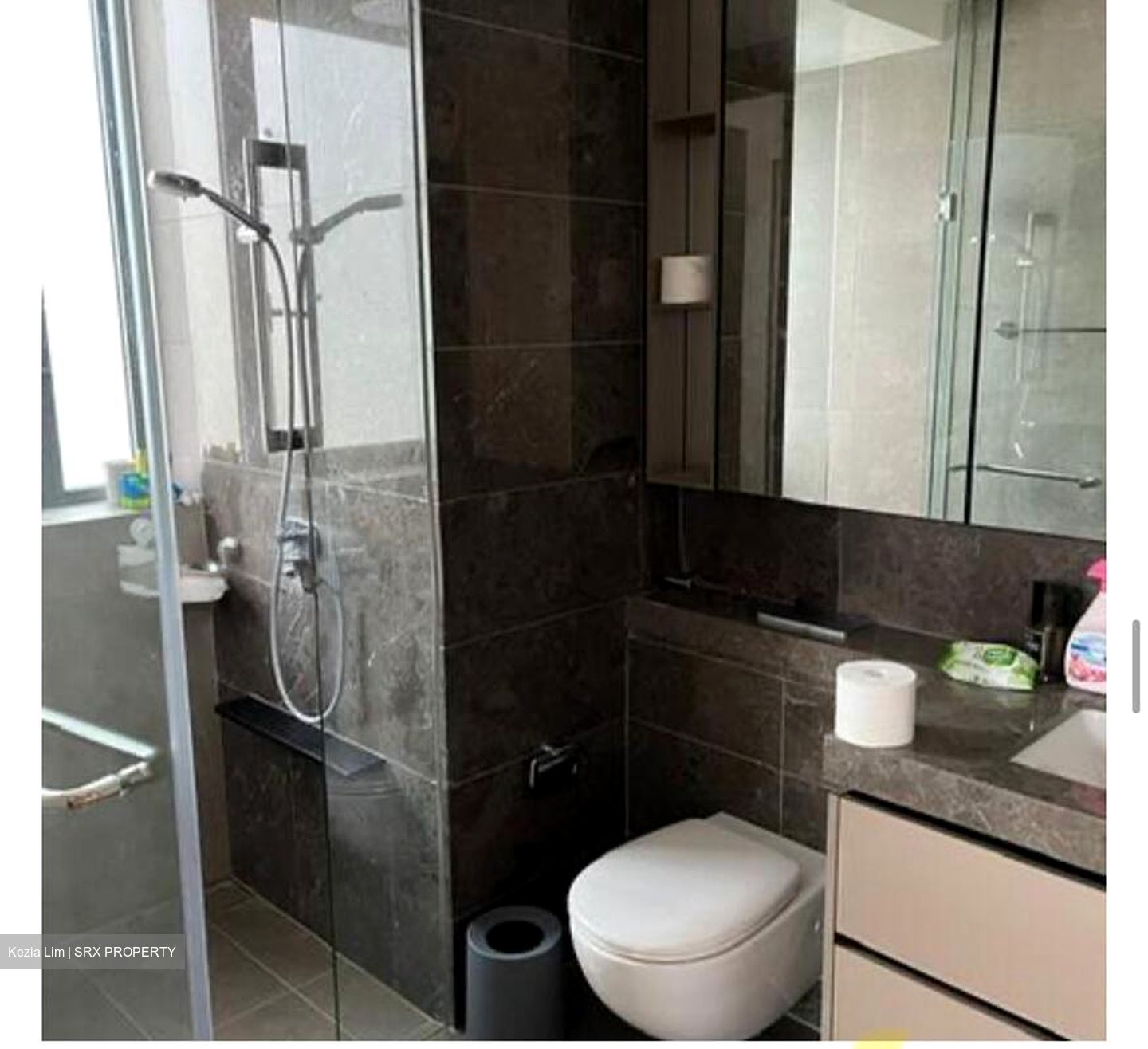 Stirling Residences (D3), Apartment #503659691